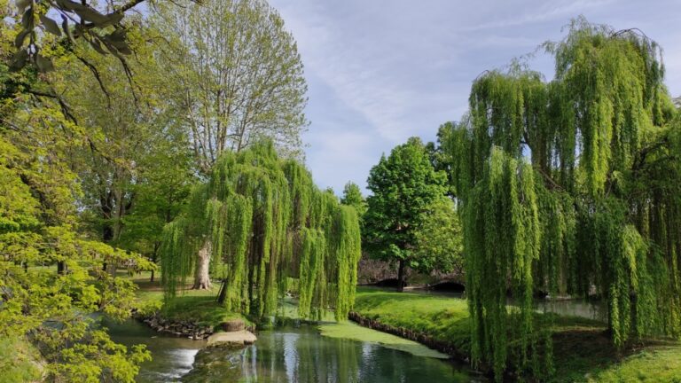 Selfie a Treviso: 9 luoghi in cui scattarli