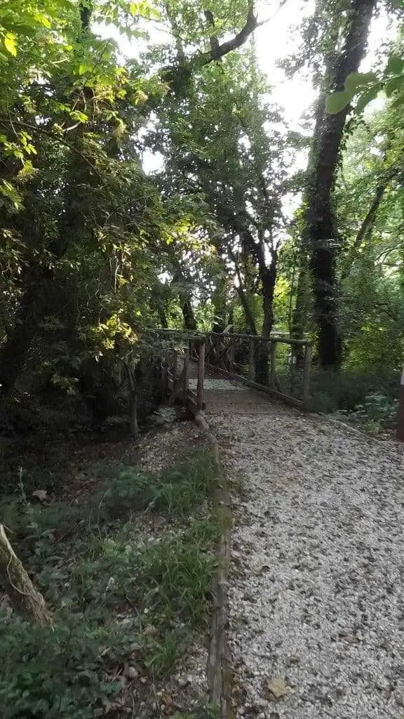 Cosa vedere a Breda di Piave in Provincia di Treviso: 4 idee 7 Bosco degli Ontani Comune di Breda di Piave foto 8