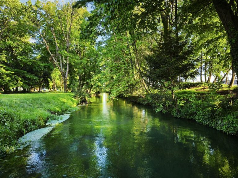 Cosa vedere a Carbonera: 4 cose da vedere