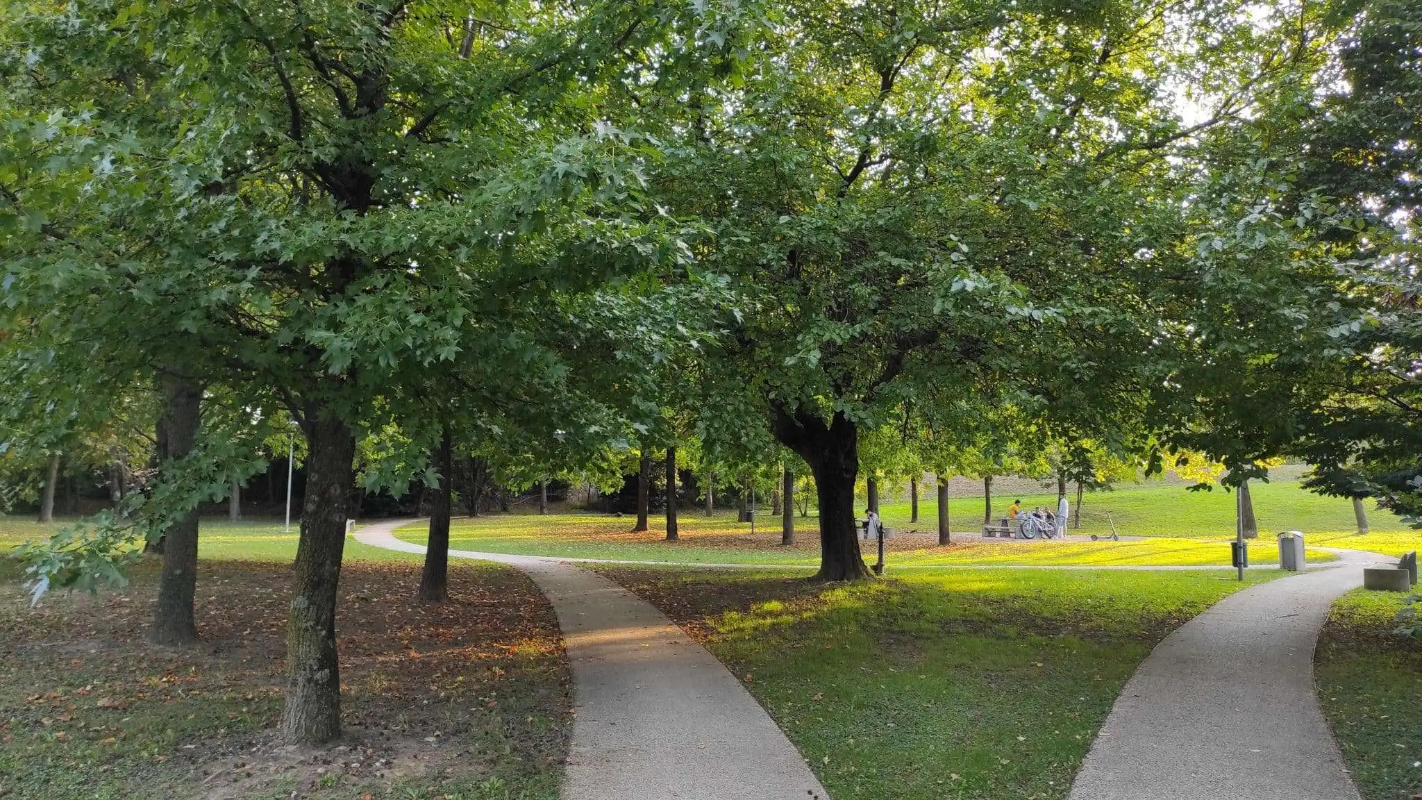 Parco del Monticano a Gorgo al Monticano scaled