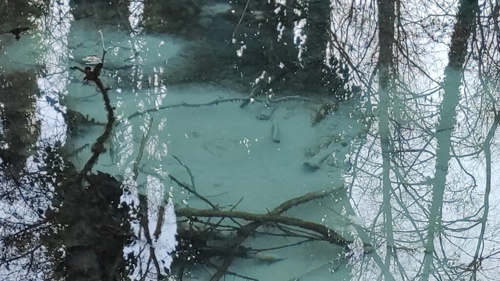 Risorgiva Bosco Galileo Bred a di Piave TV