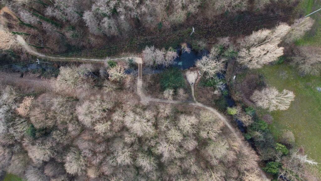 visione aerea bosco Galileo Breda di Piave TV