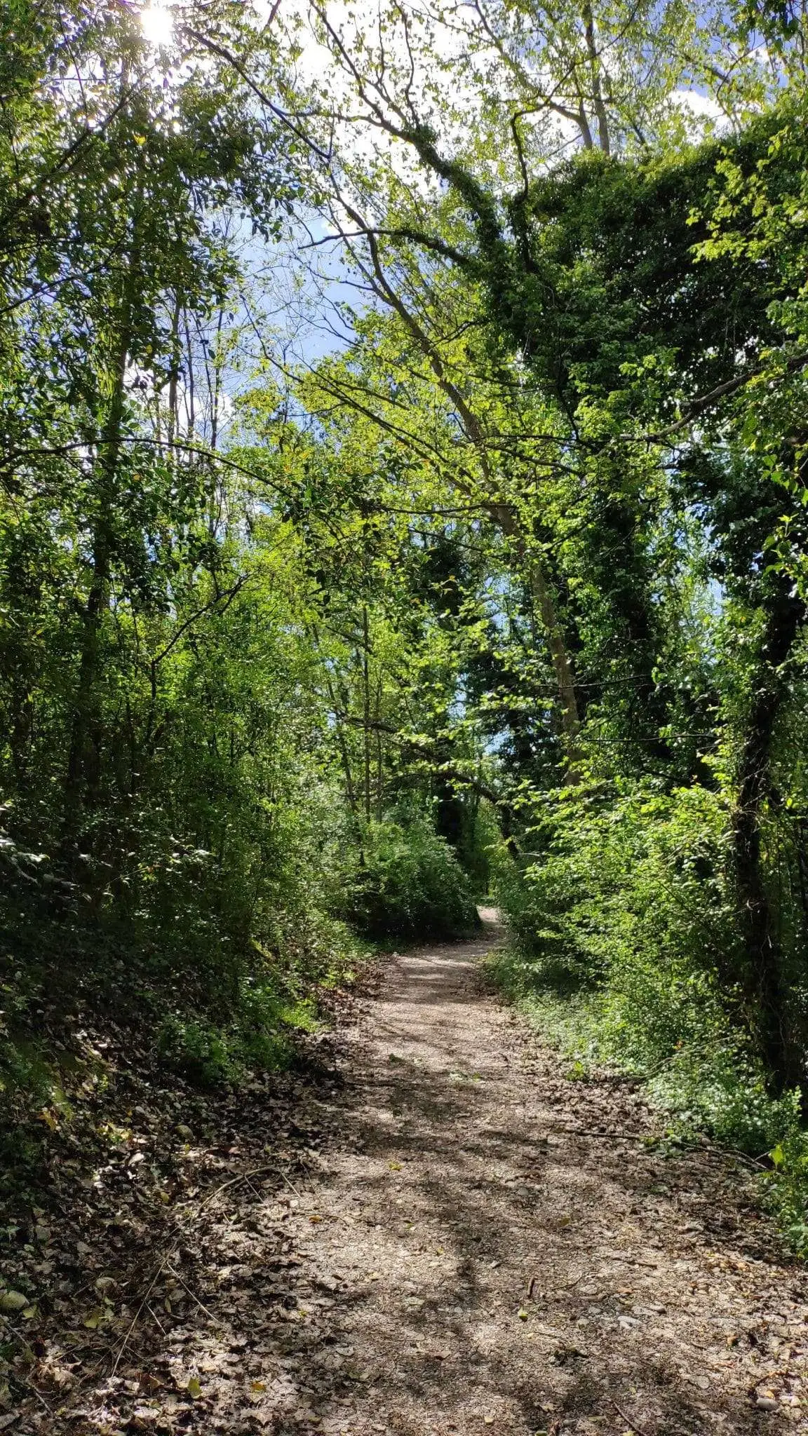 Itinerario nelloasi del Codibugnolo scaled