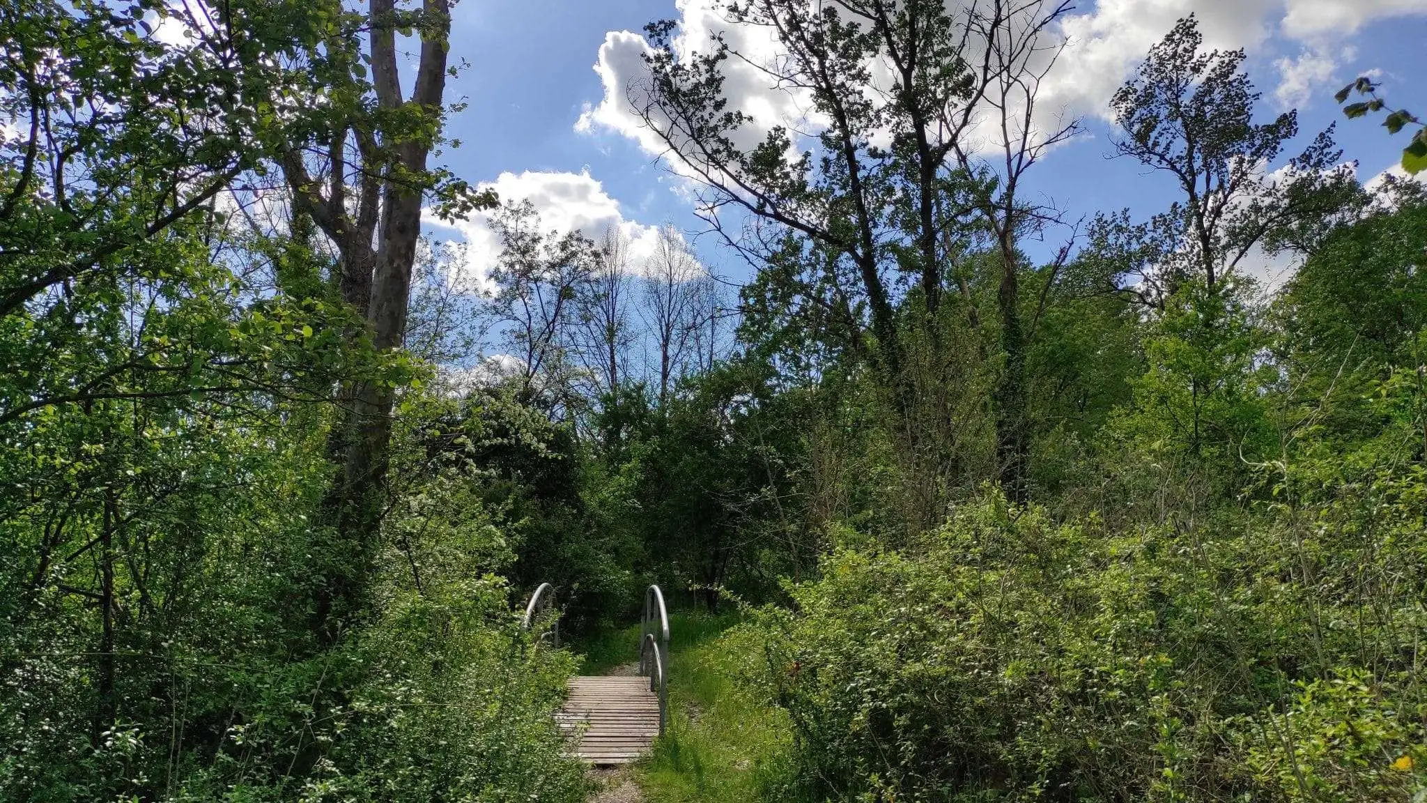 Oasi del Codibugnolo ponticello4 scaled