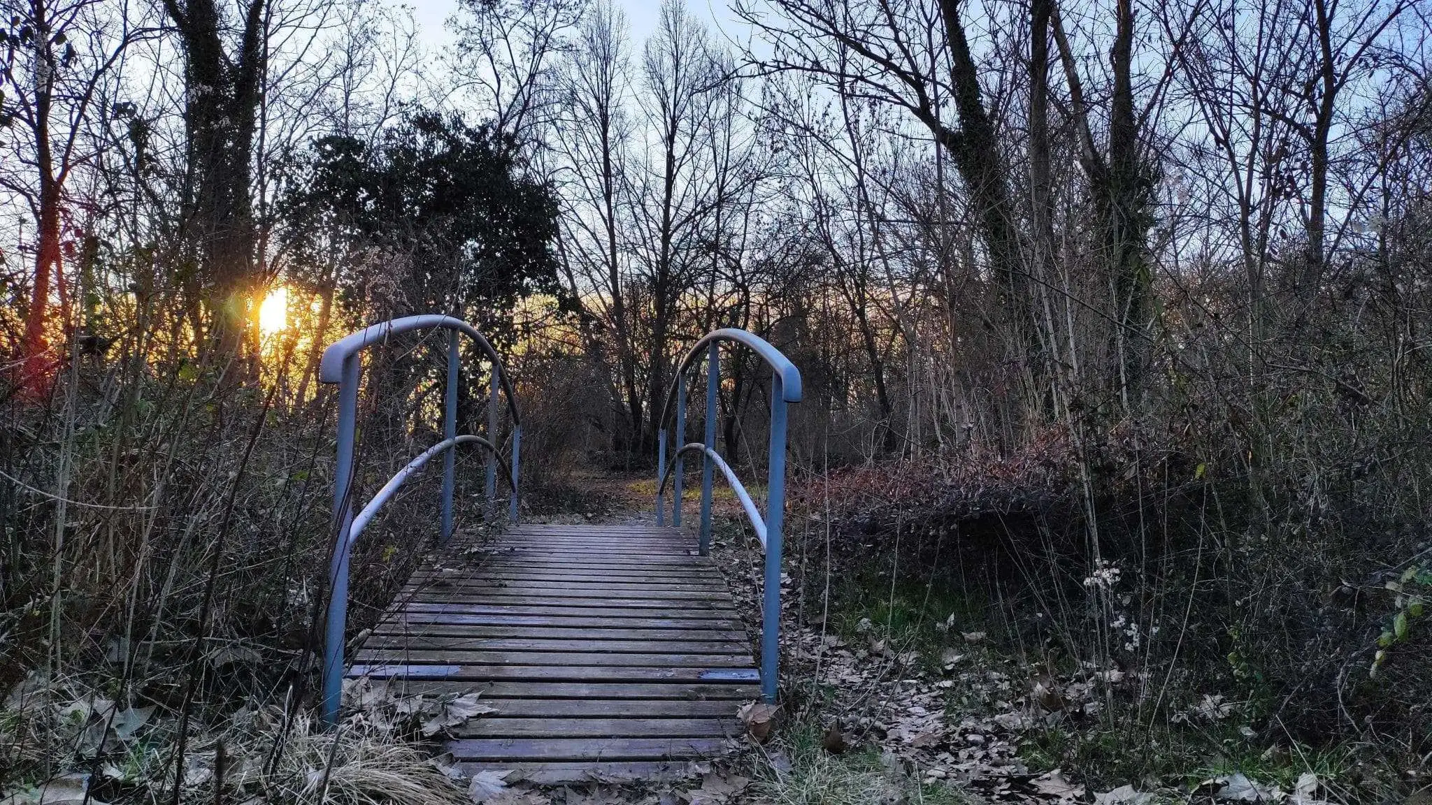 Oasi del Codibugnolo a Maserada sul PiaveTV 14 febbraio 2021 1 scaled
