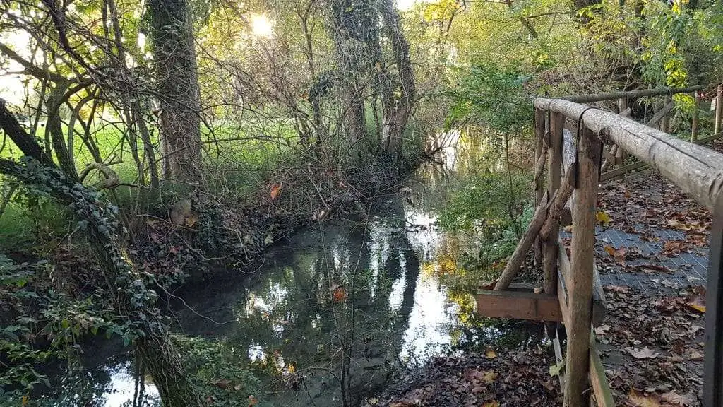 10 ragioni per visitare il Bosco degli Ontani a Breda di Piave 3 Alveo del Musestre a Breda di Piave