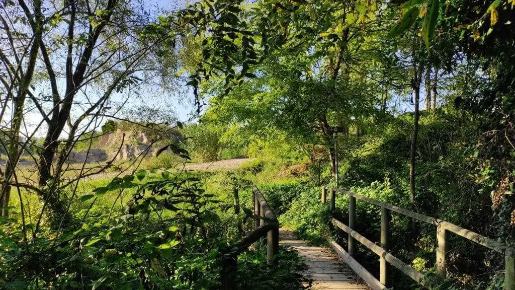 Bike Tribe MTB Trail. Salgareda TV