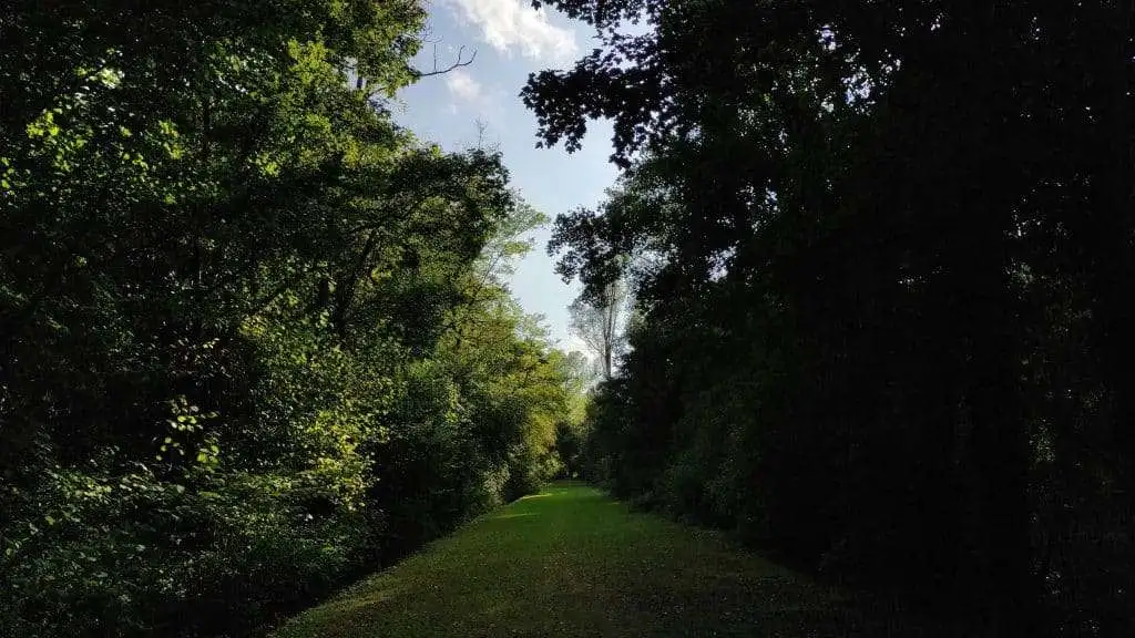 Bosco di Olme a Cessalto TV