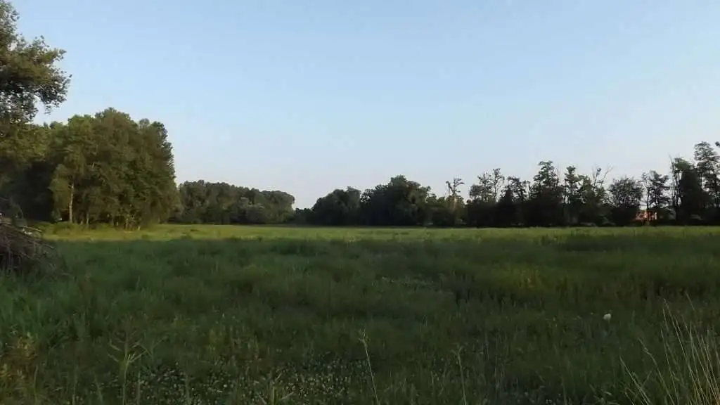 Cosa vedere a Breda di Piave in Provincia di Treviso: 4 idee 29 Fiume Piave Breda di Piave foto 1