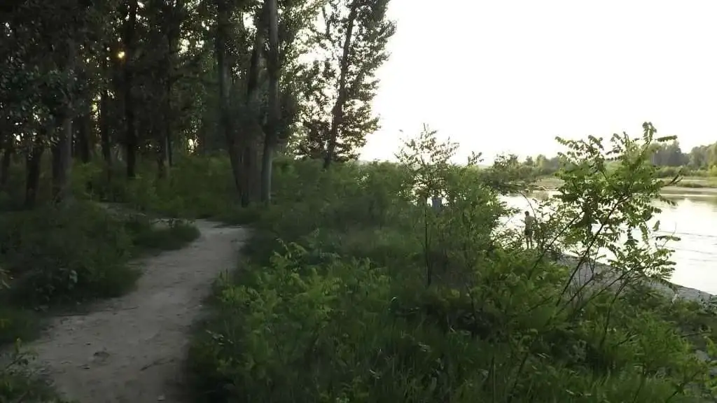 Cosa vedere a Breda di Piave in Provincia di Treviso: 4 idee 44 Fiume Piave Breda di Piave foto 16