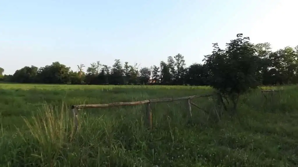 Cosa vedere a Breda di Piave in Provincia di Treviso: 4 idee 30 Fiume Piave Breda di Piave foto 2