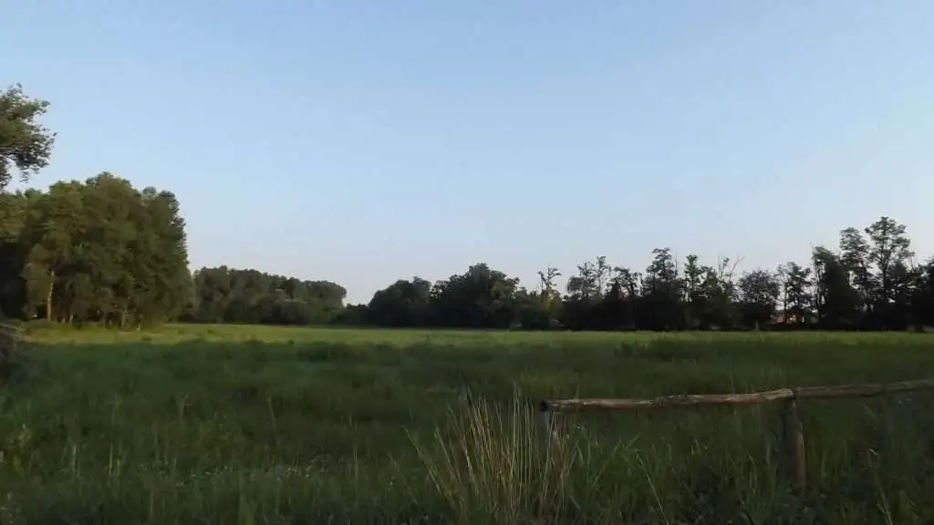 Cosa vedere a Breda di Piave in Provincia di Treviso: 4 idee 31 Fiume Piave Breda di Piave foto 3