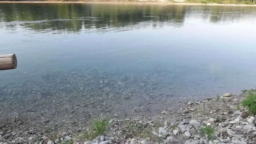 Cosa vedere a Breda di Piave in Provincia di Treviso: 4 idee 33 Fiume Piave Breda di Piave foto 5