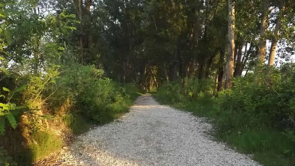 Cosa vedere a Breda di Piave in Provincia di Treviso: 4 idee 37 Fiume Piave Breda di Piave foto 9