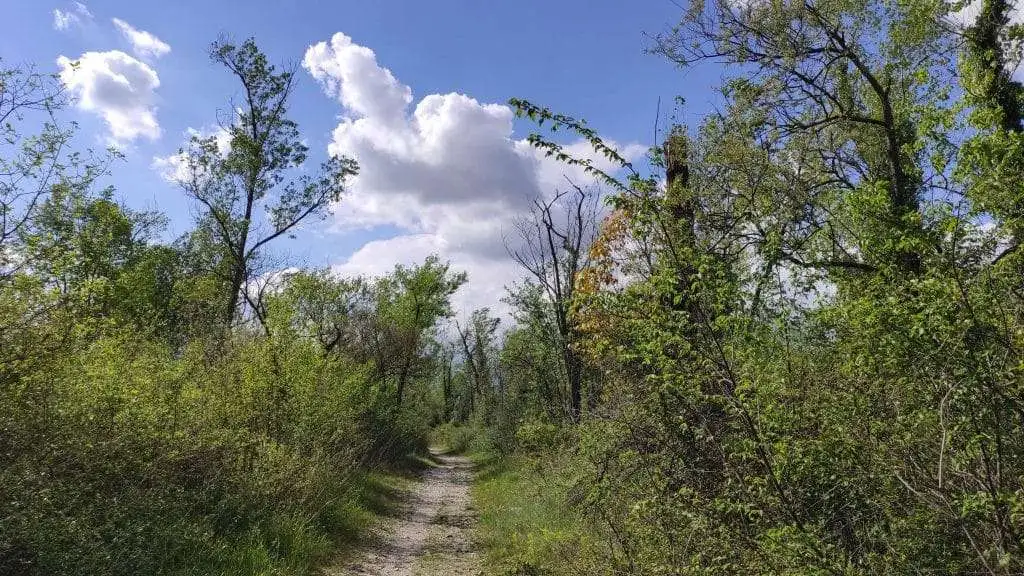 Itinerario delloasi del Codibugnolo Salettuol Maserada sul Piave