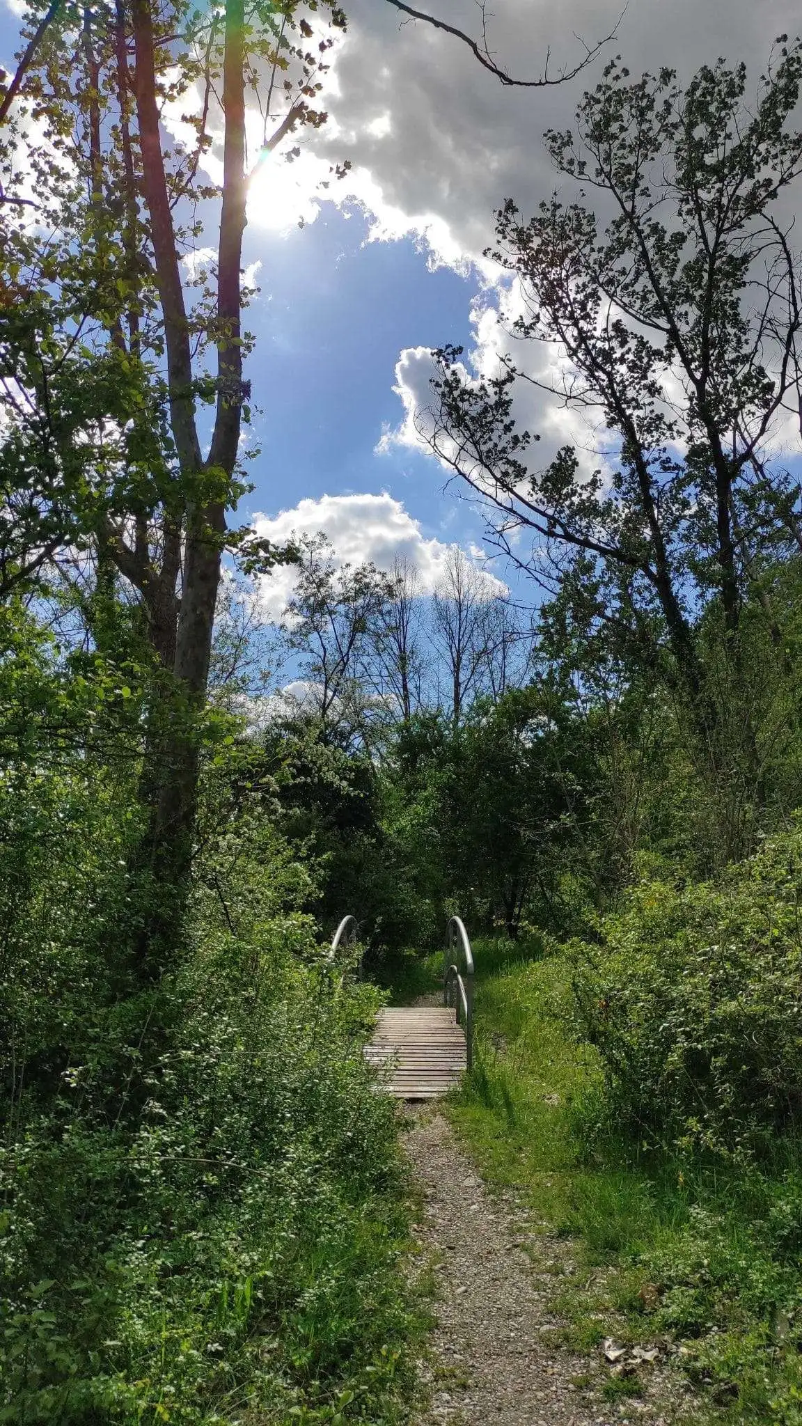 Oasi del Codibugnolo ponticello7 scaled