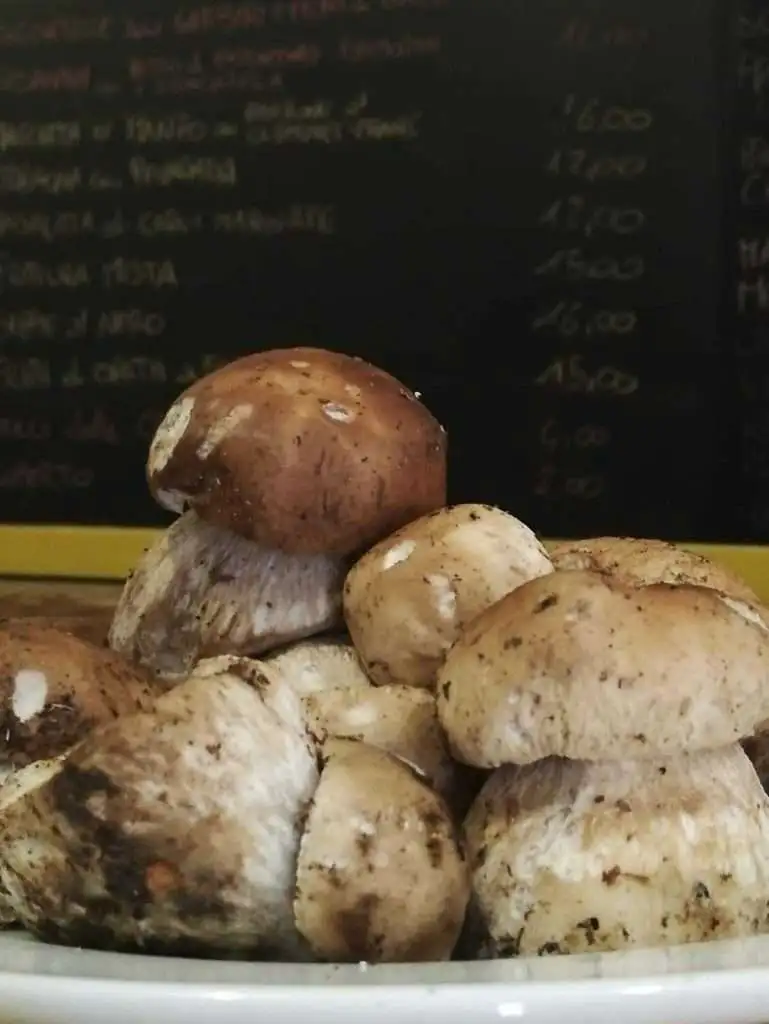 Osteria ai Filodrammatici Treviso 5 Osteria ai Filodrammatici Treviso 4