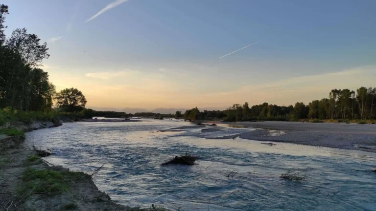 Vivai a Breda di Piave: 5 dei migliori vivai a Breda di Piave