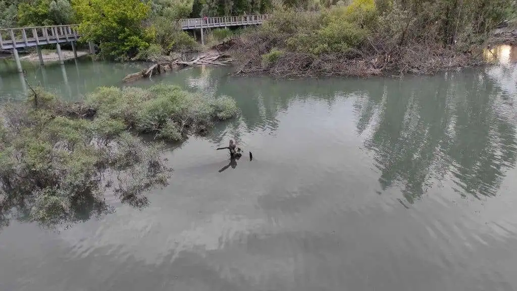 Prua emersa di un burcio