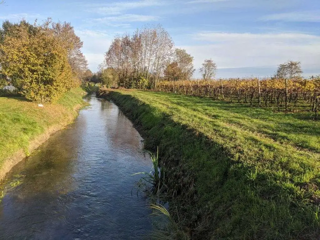 Scorcio fiume meolo 2