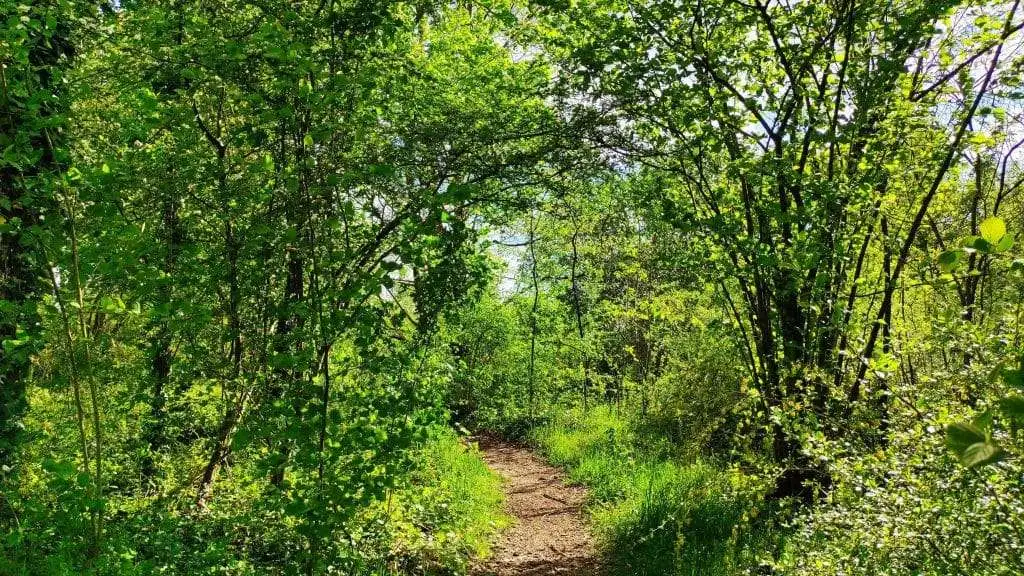 Sentiero Oasi del Codibugnolo