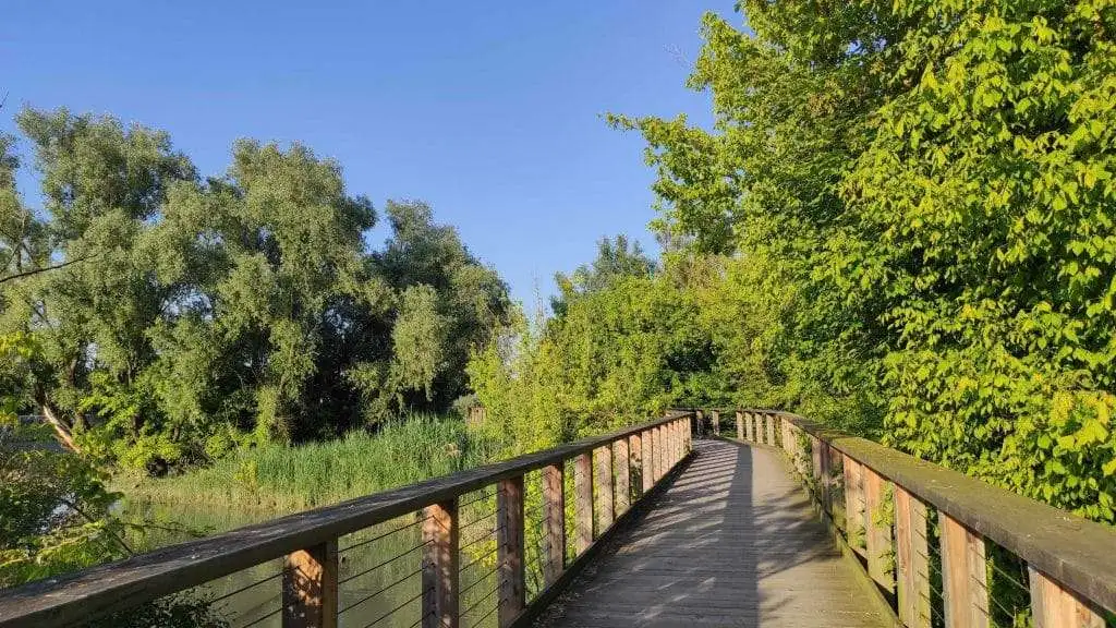 inizio passerella del cimitero dei burci