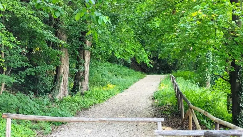 Il Cammino della porta del soccorso a Conegliano