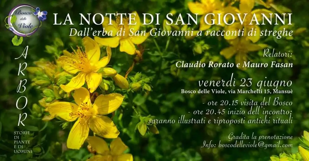 La notte di San Giovanni Bosco delle Viole