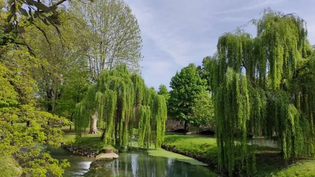 cosa vedere a treviso: L'isola del Paradiso e Ponte Frà Giocondo
