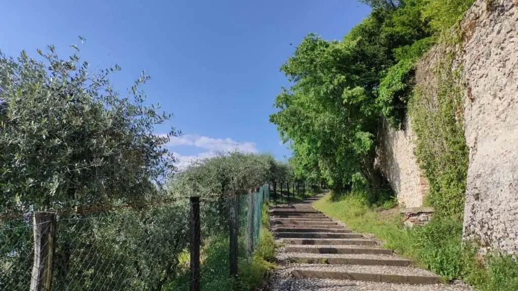 radinata in acciottolato che porta alla Rocca d'Asolo. A sinistra, un uliveto, a destra, le antiche mura velate di vegetazione rampicante.