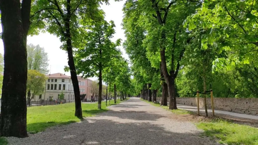 Viale di ippocastani mura di Treviso TV
