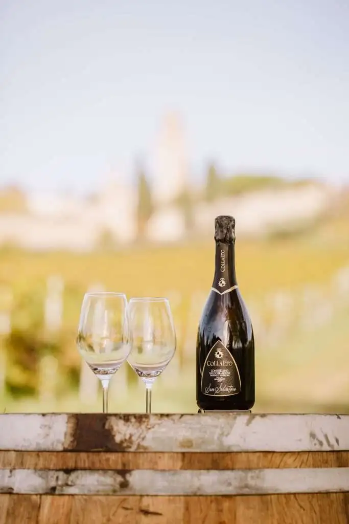 Il castello San Salvatore a Susegana (TV) 9 SanSalvatore vigneti