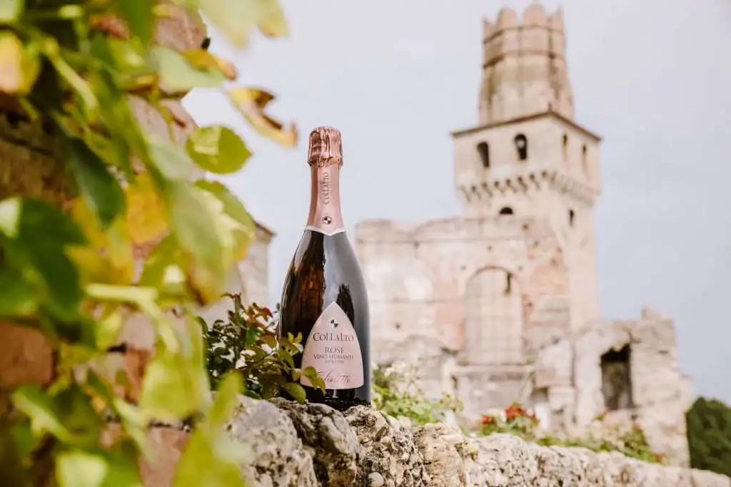 Il castello San Salvatore a Susegana (TV) 11 Violette Castello