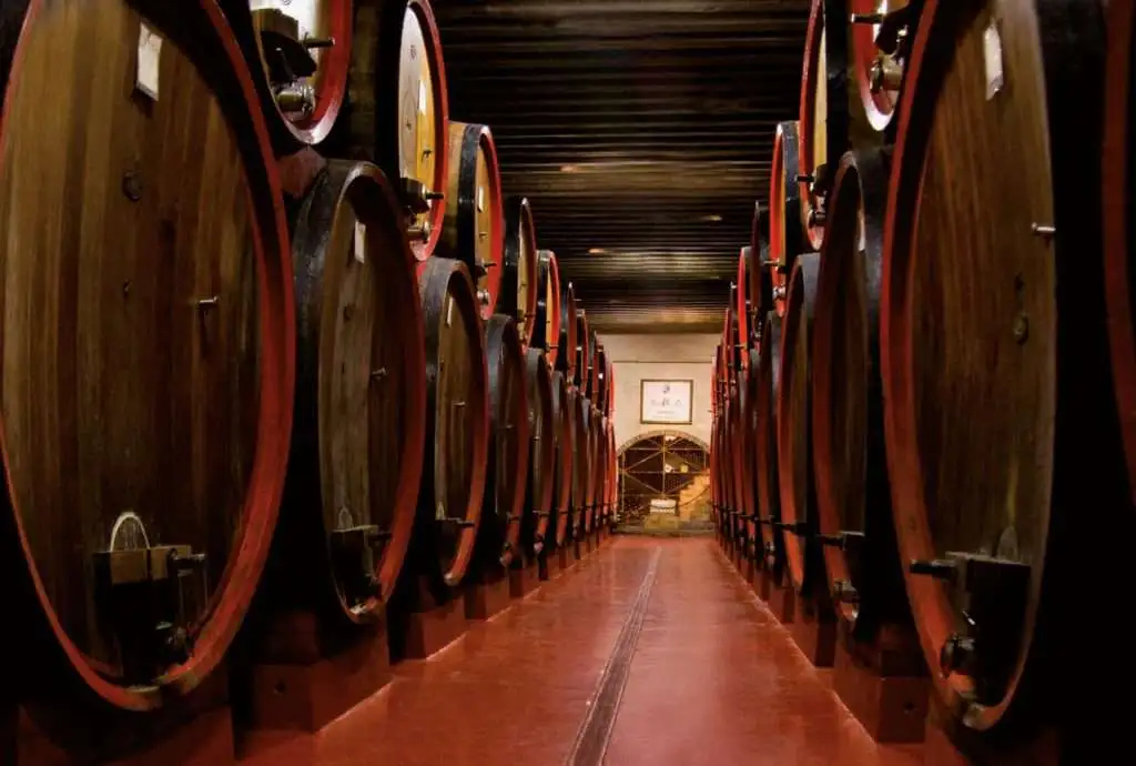 bottaia ricampionata grande