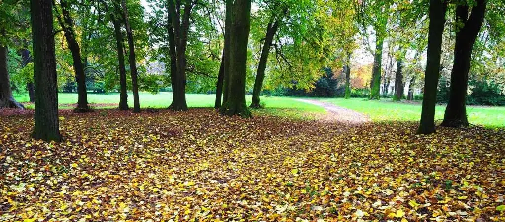 header territorio 1600