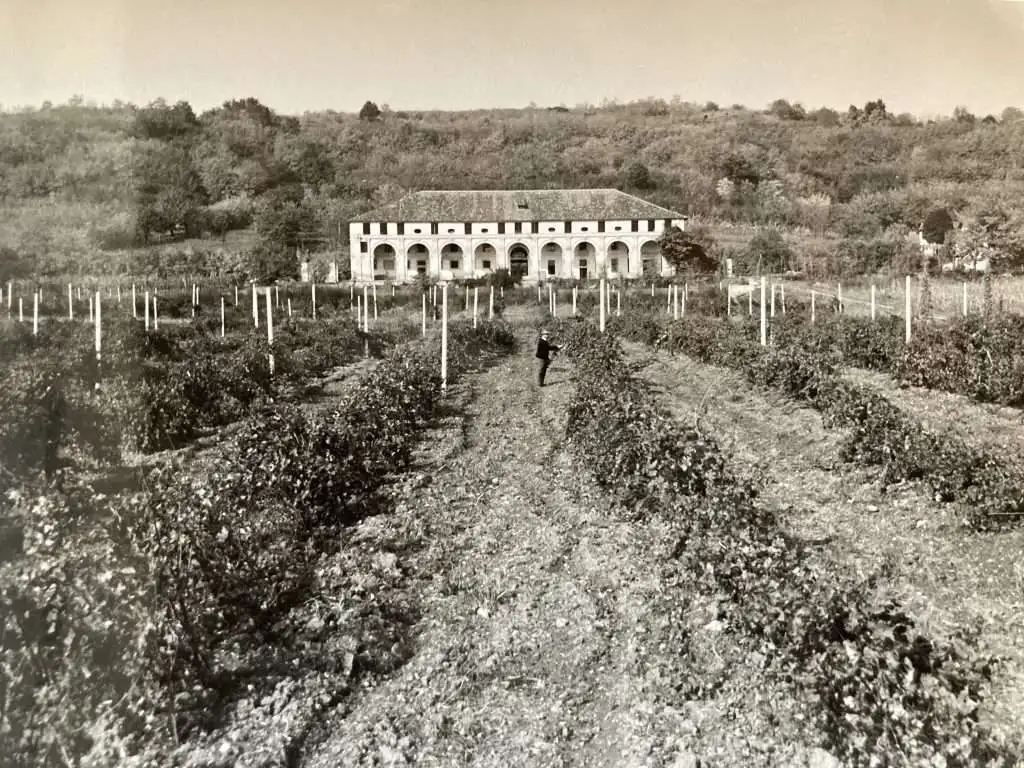 barchessa loredan archivio 1 1