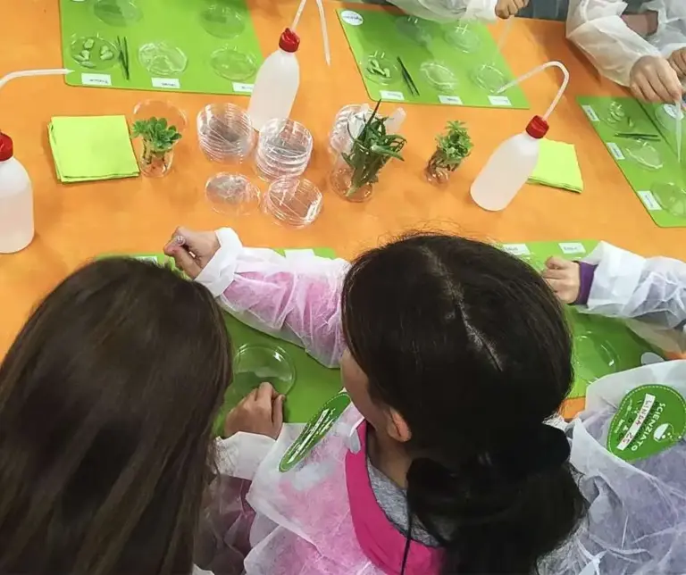 IL CASTELLO DELLE SCOPERTE a A THIENE: 4 E 5 NOVEMBRE 2023