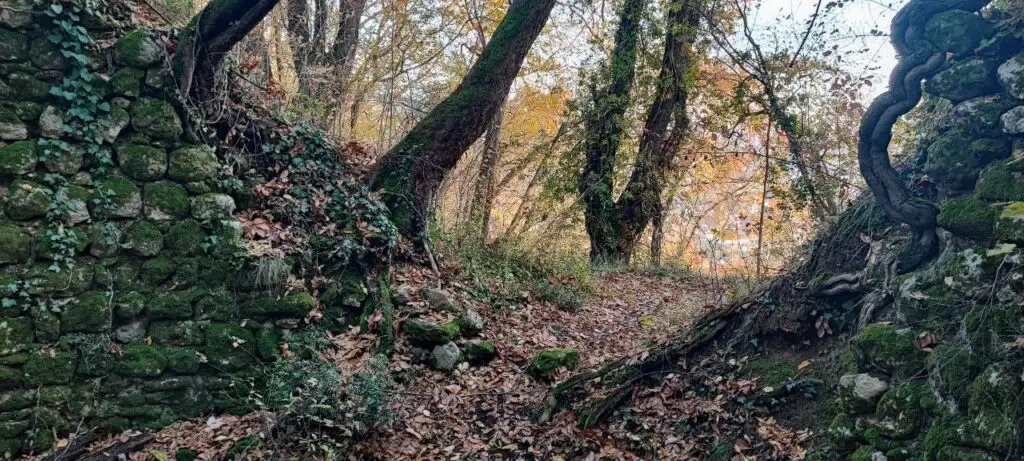 Castello Col Muson a Castelcucco TV