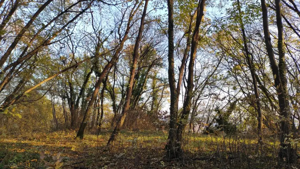 Cima del Castello Col Muson Castelcucco TV 2