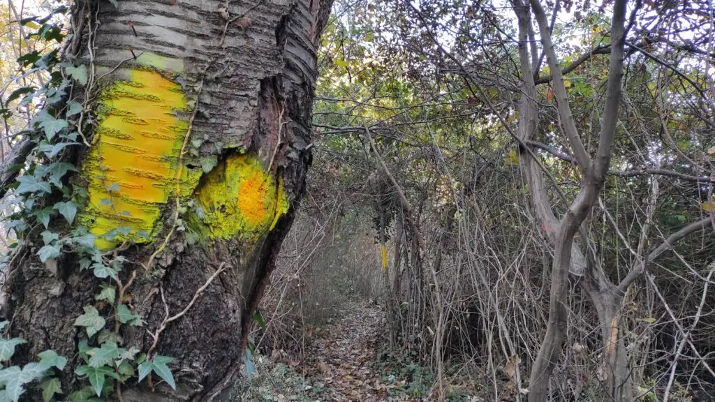 Segnaletica Col Muson Castelcucco TV