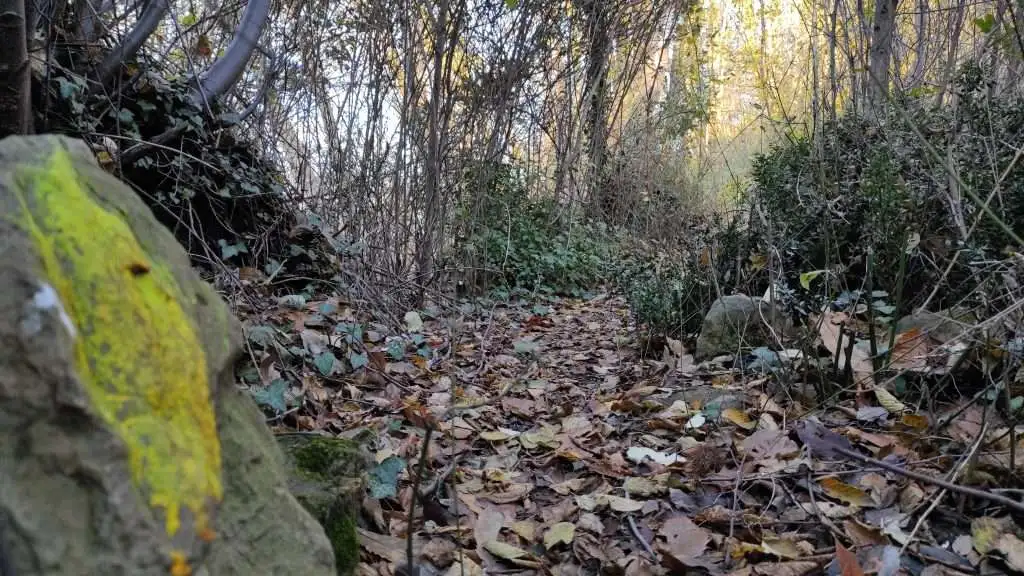 Segnaletica Col Muson CastelcuccoTV