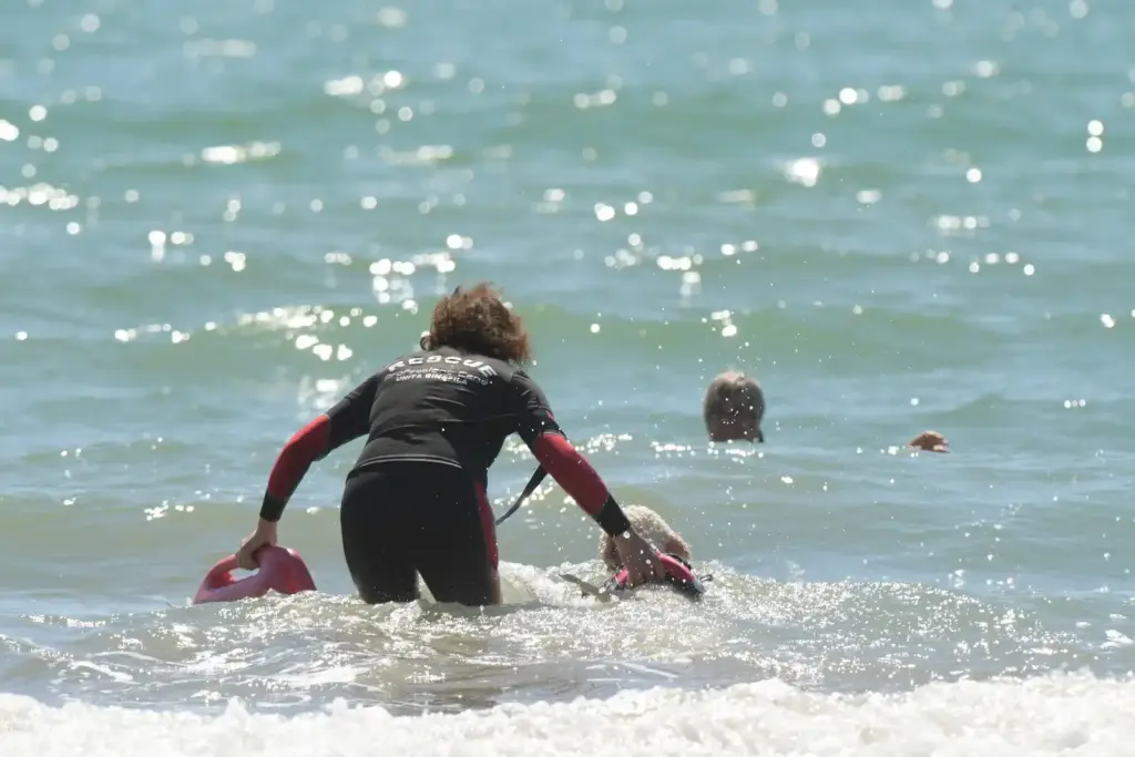 A Caorle Domenica 26 Maggio i cani bagnini tornano sulla spiaggia 1 SPIAGGIA SAN FRANCESCO BAUWATCH DIMOSTRAZIONE RESCUE 1 R