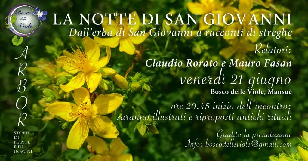 Notte di San Giovanni Bosco delle Viole