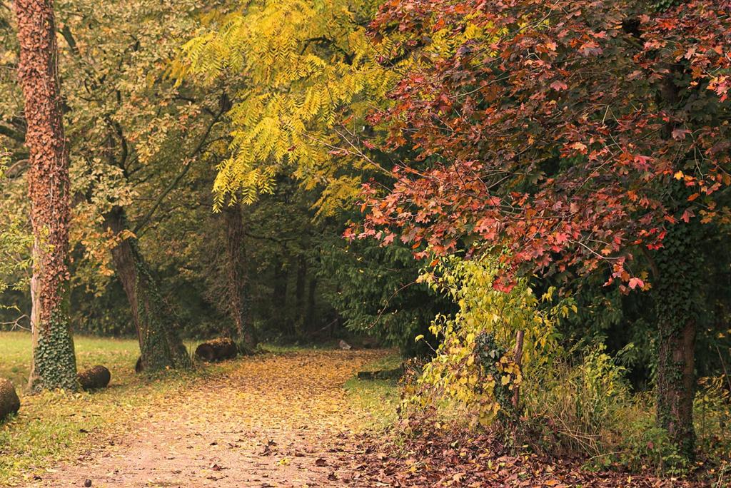 Foliage Dimore Amiche Veneto
