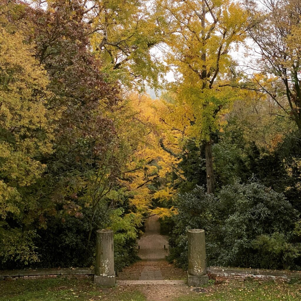 Foliage Dimore Amiche Veneto 3 copia