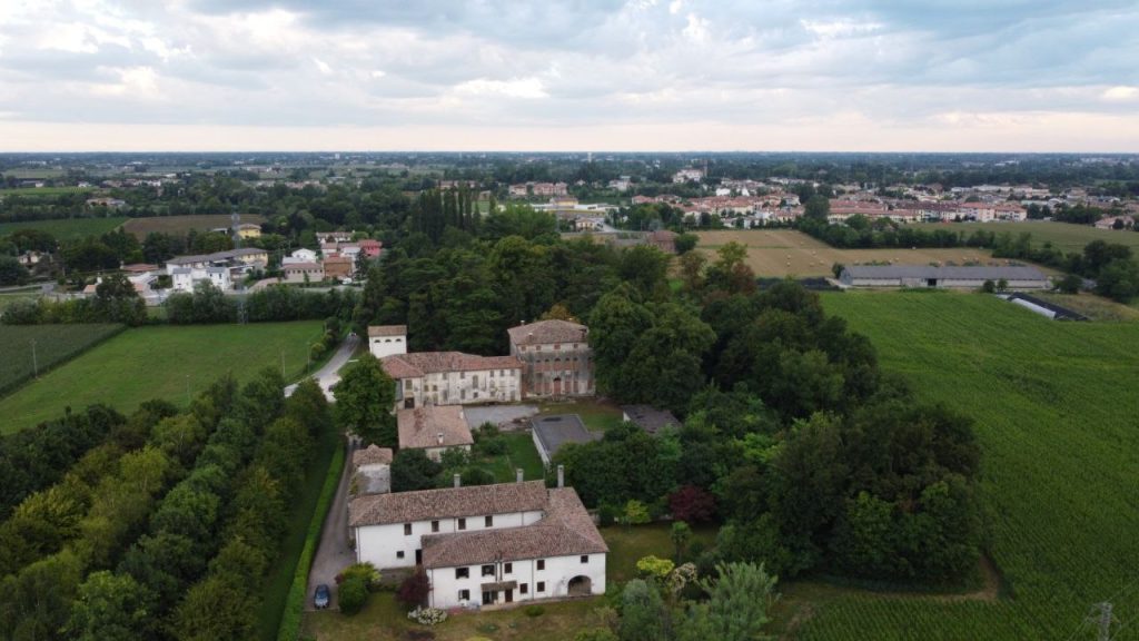 photo 5913582660335288010 y