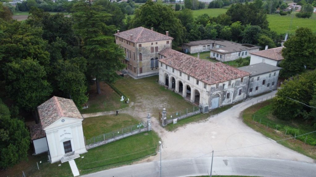 photo 5913582660335288014 y