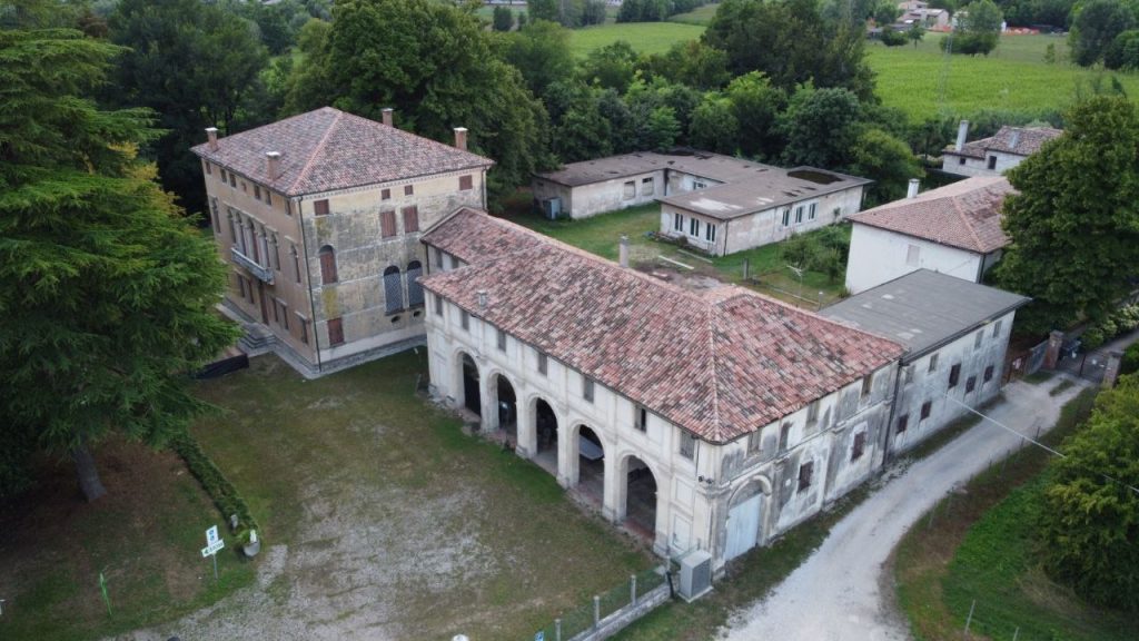 photo 5913582660335288017 y