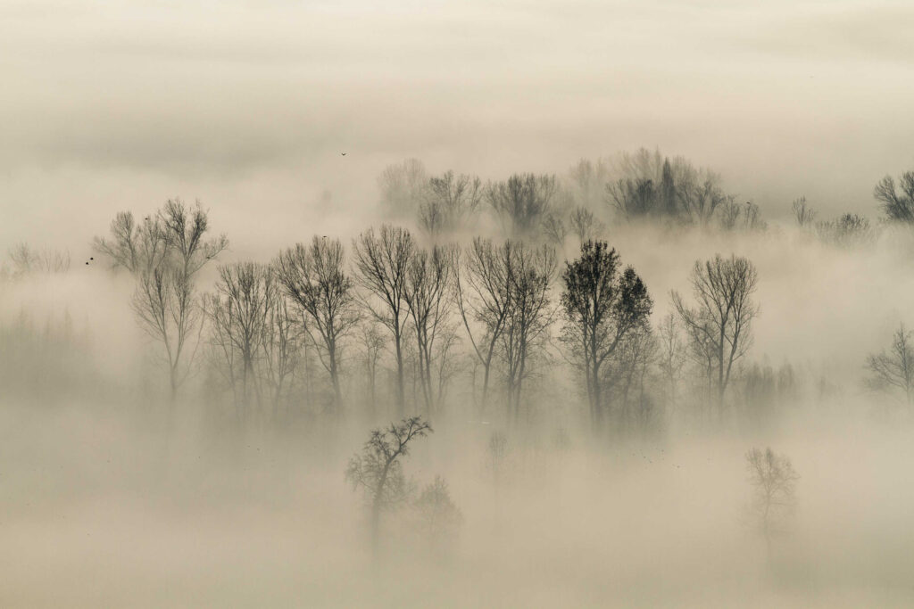 Palu QDP atmosfere invernali