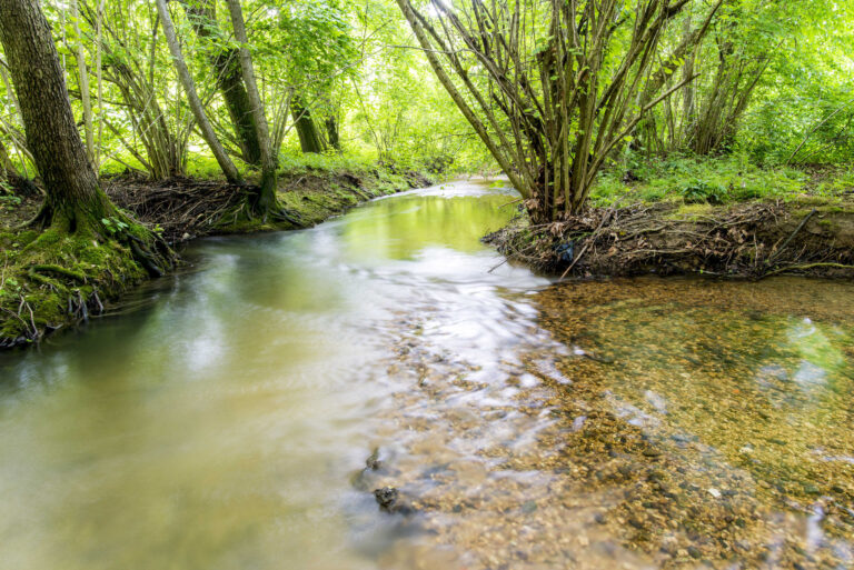 I Palù del Quartier del Piave a Sernaglia della Battaglia
